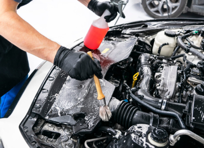 Engine Bay Cleaning